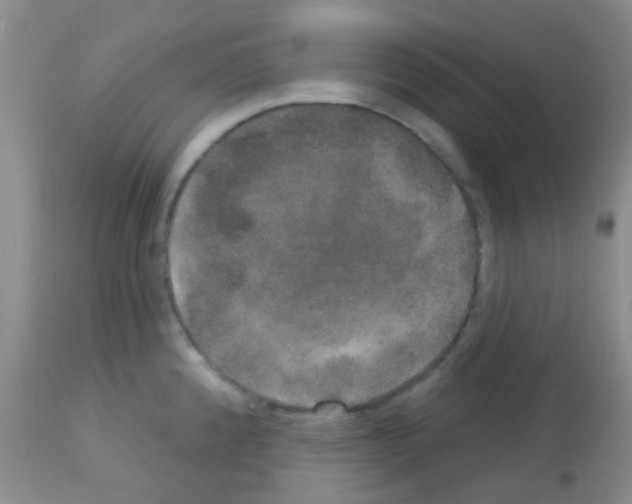 X0000113081192200910091224