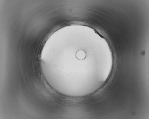 X0000113081193200910091224