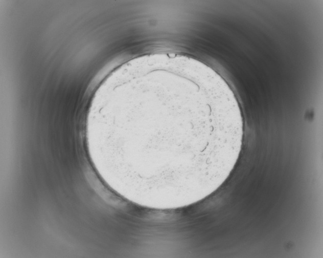 X0000113081195200910091224