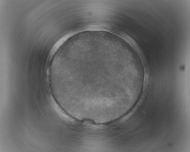 X0000113081196200910091224