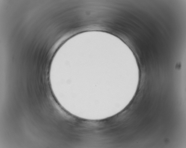 X0000113081197200910091224