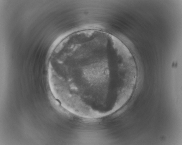 X0000113081200200910091224