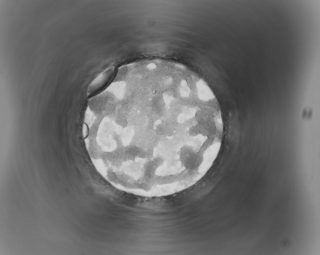 X0000113081201200910091223