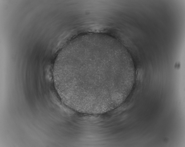 X0000113081202200910091223