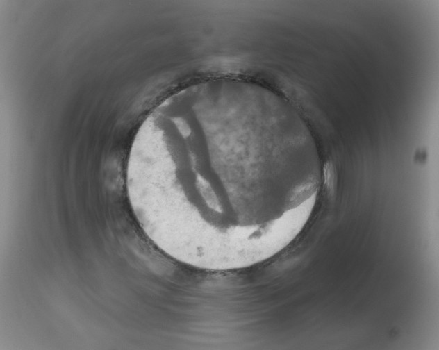 X0000113081203200910091223