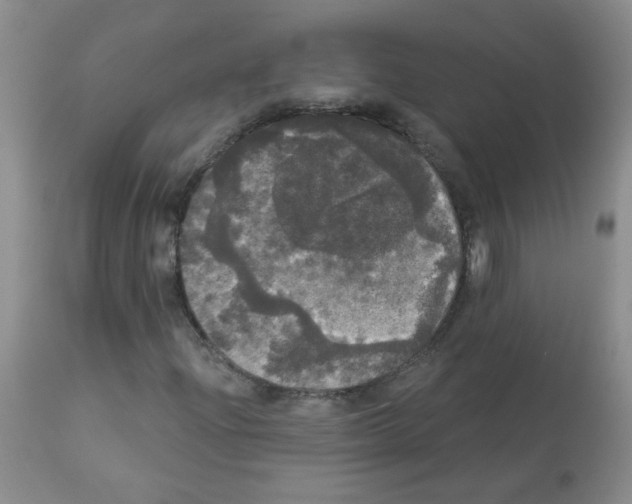 X0000113081204200910091223