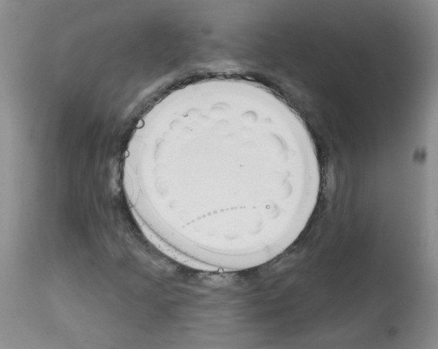 X0000113081205200910091223
