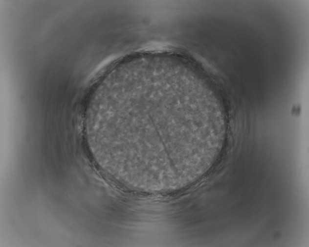 X0000113081206200910091223