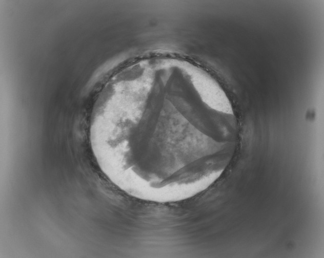X0000113081207200910091223