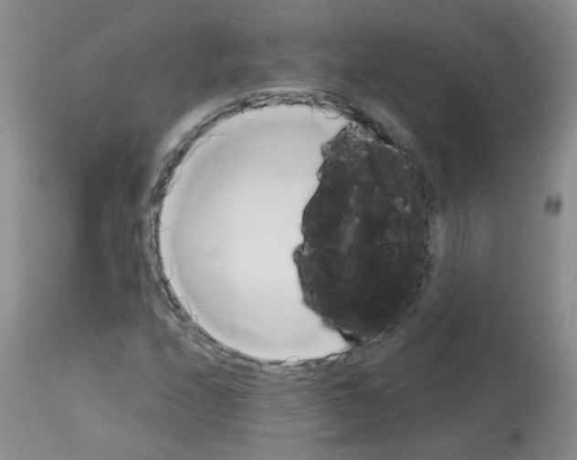 X0000113081208200910091223