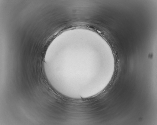 X0000113081209200910091223