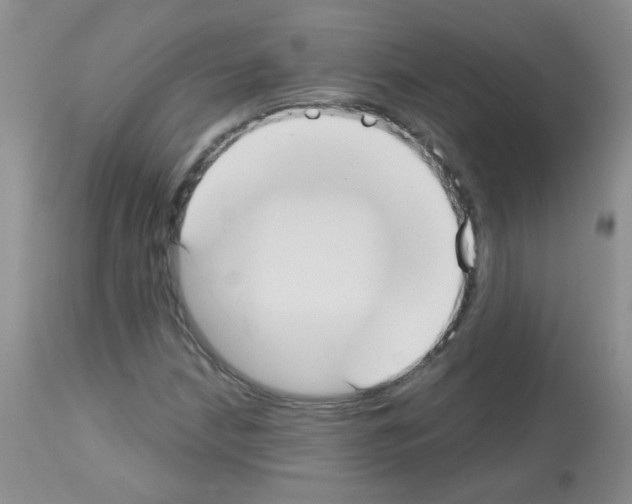 X0000113081210200910091223