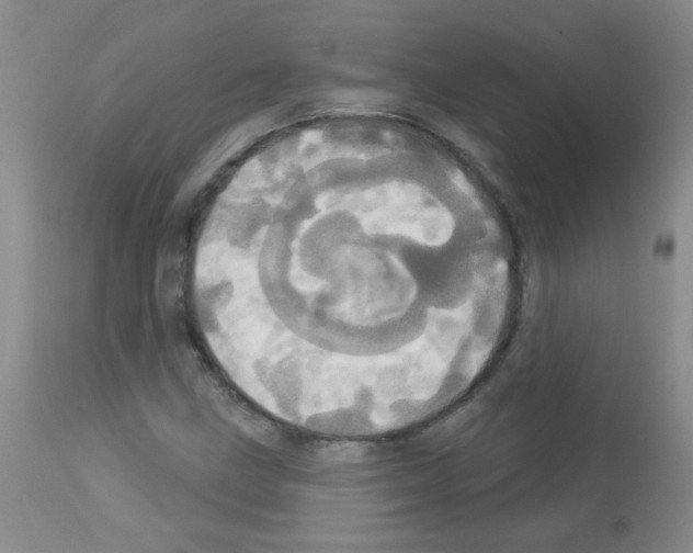 X0000113081211200910091223