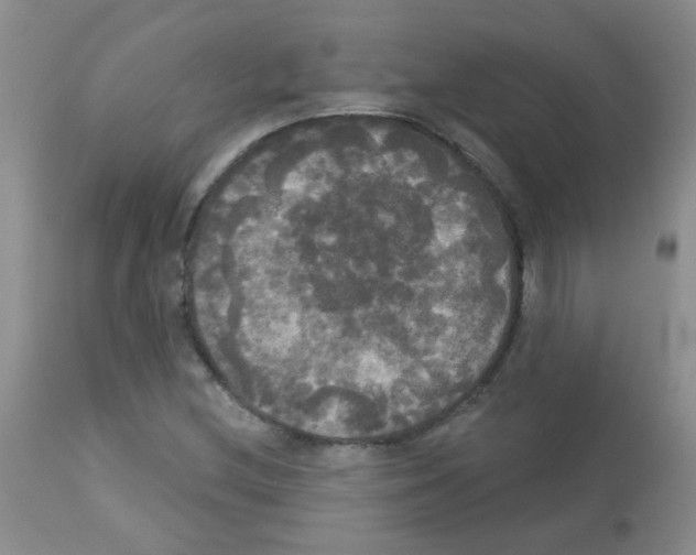 X0000113081212200910091223