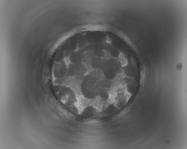 X0000113081213200910091223