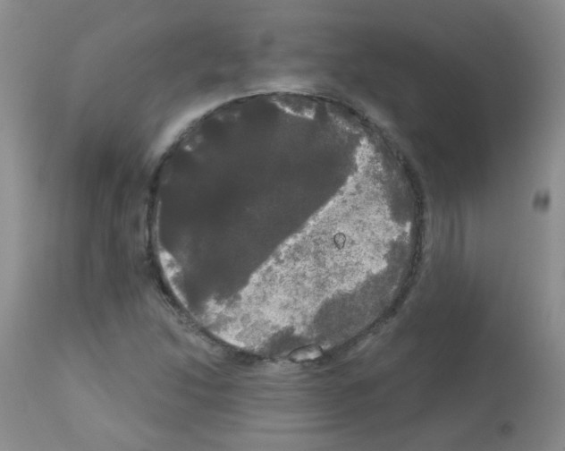 X0000113081214200910091223