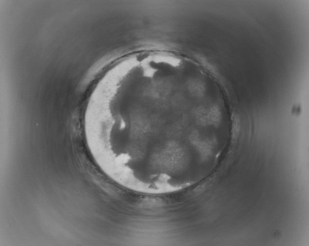 X0000113081215200910091223