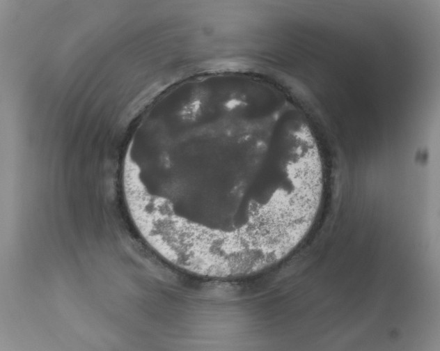 X0000113081217200910091223