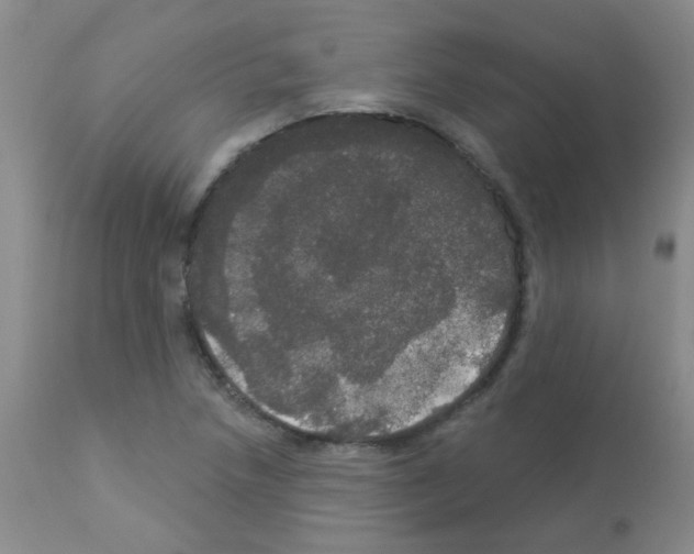 X0000113081218200910091223