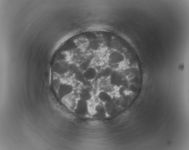 X0000113081219200910091223