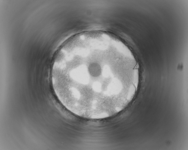 X0000113081220200910091223