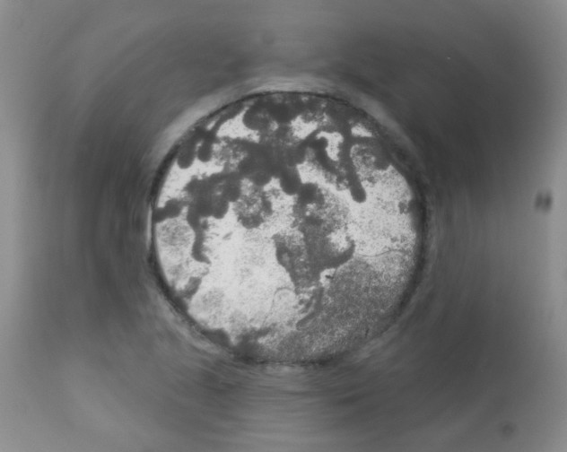 X0000113081221200910091223