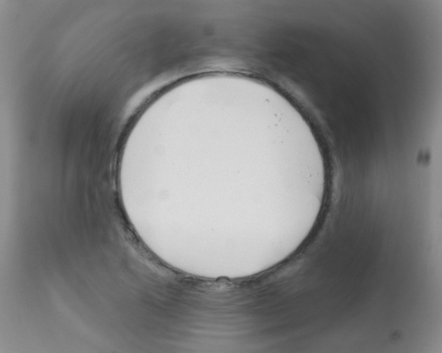 X0000113081222200910091223