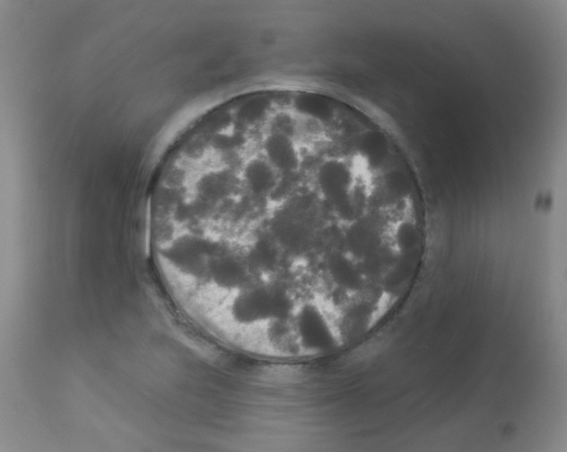 X0000113081223200910091224