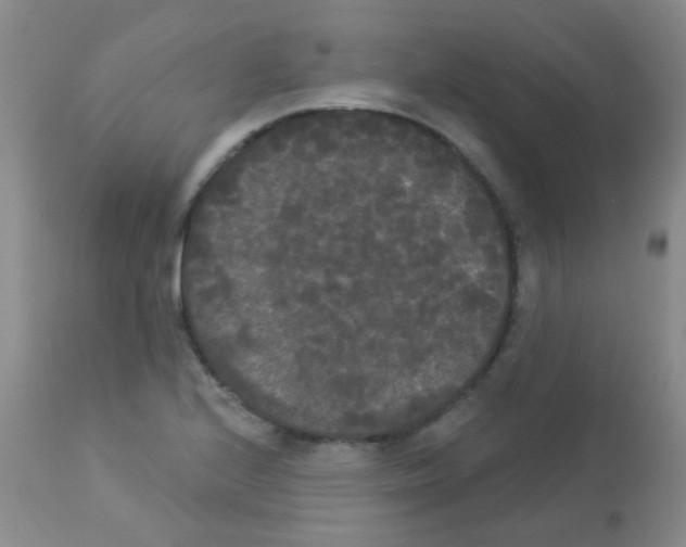 X0000113081224200910091224