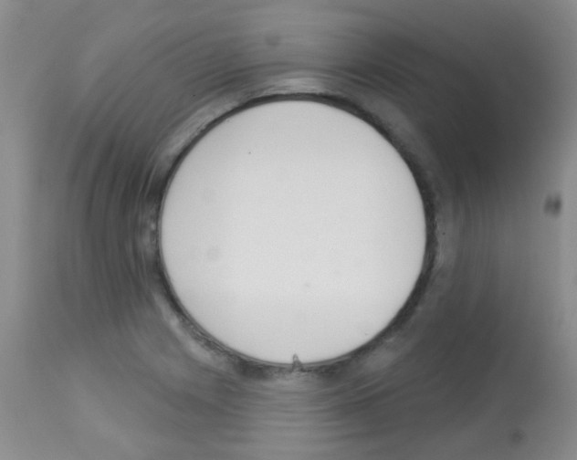 X0000113081225200910091224