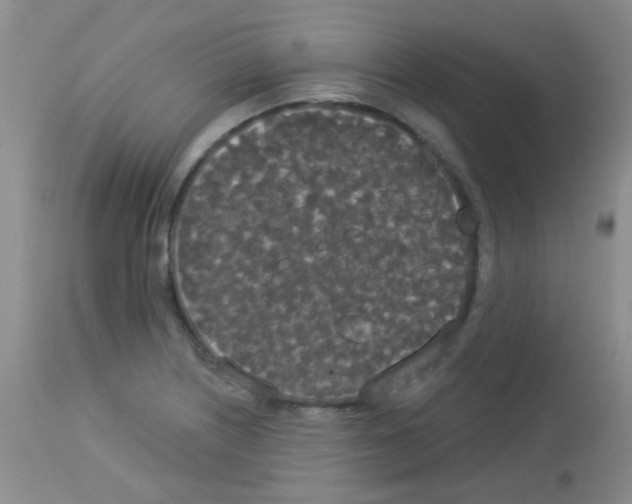 X0000113081226200910091224