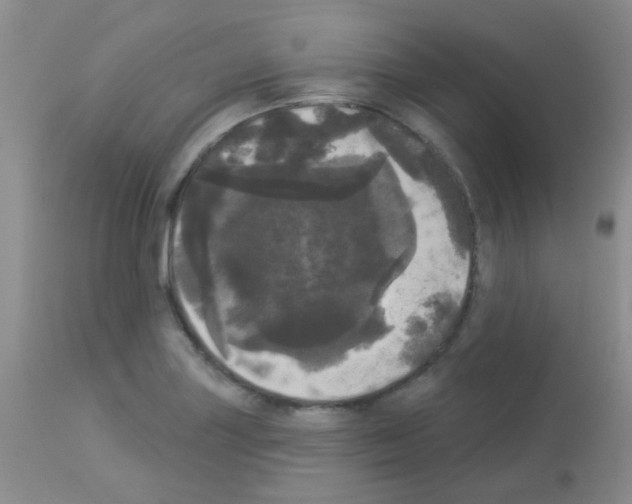 X0000113081227200910091224