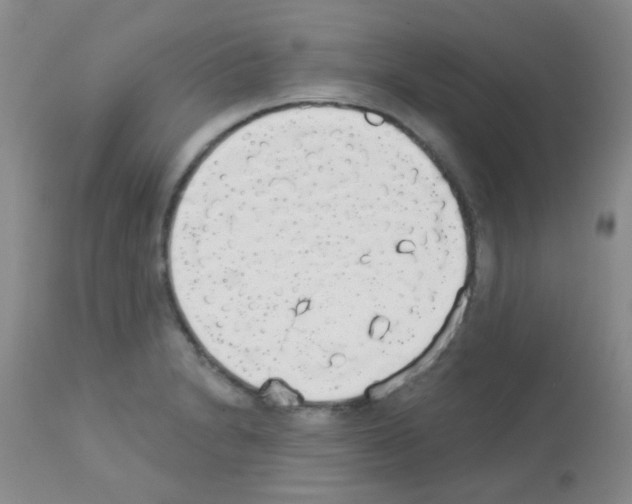 X0000113081230200910091224