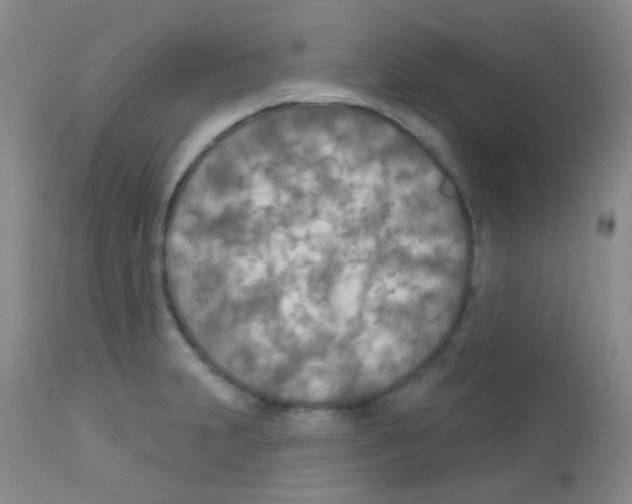 X0000113081231200910091224