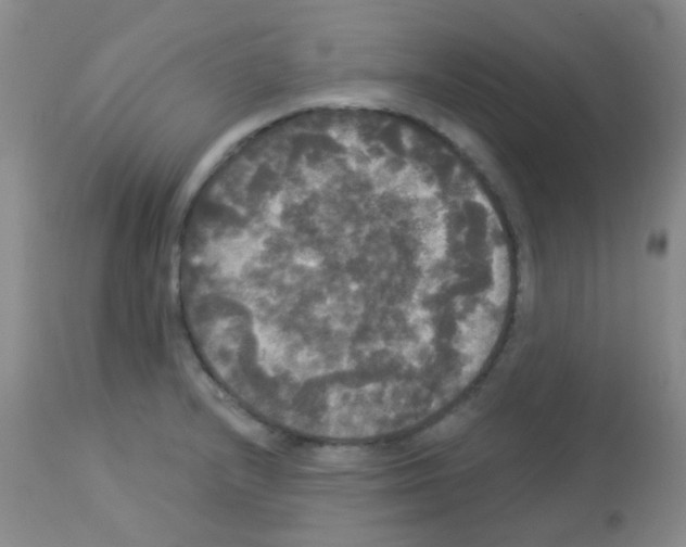 X0000113081232200910091224