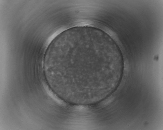 X0000113081234200910091224