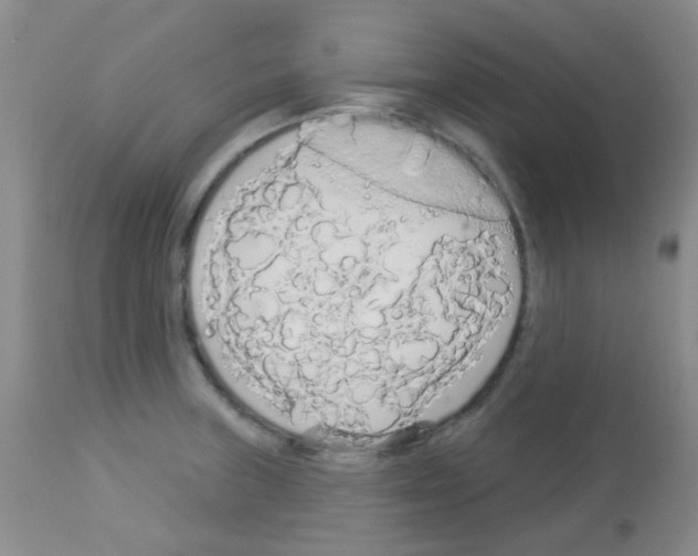 X0000113081235200910091224