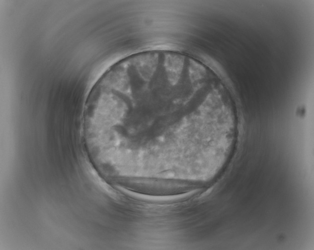 X0000113081236200910091224