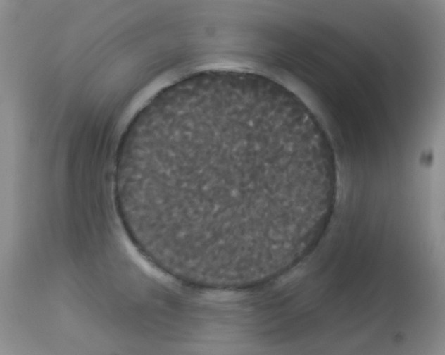 X0000113081237200910091224