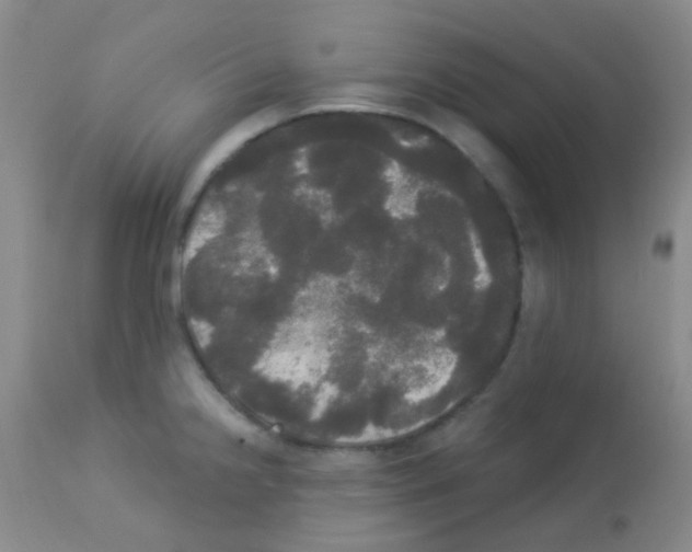 X0000113081238200910091224