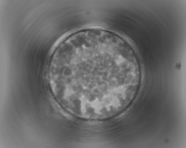 X0000113081240200910091224