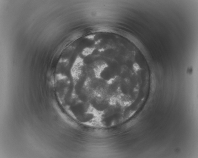 X0000113081241200910091224
