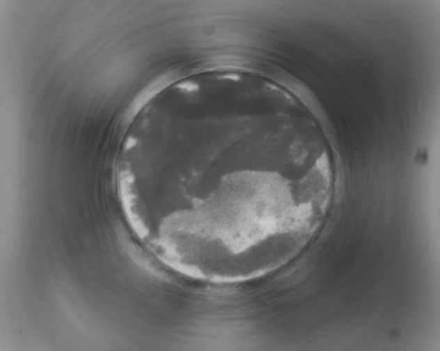 X0000113081242200910091224