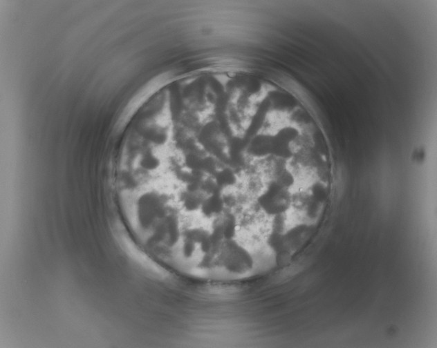 X0000113081243200910091224