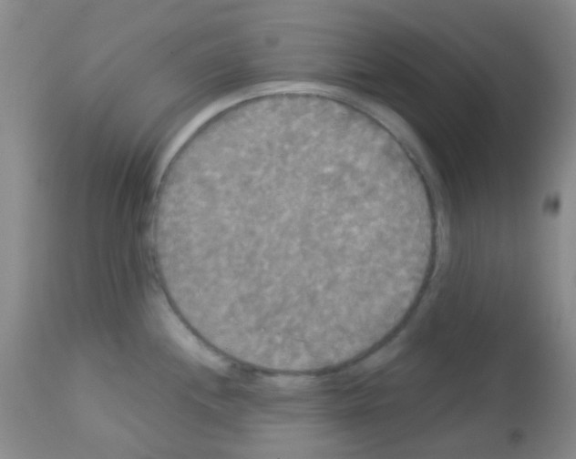 X0000113081244200910091224