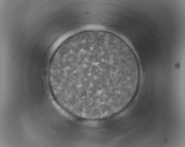 X0000113081245200910091224