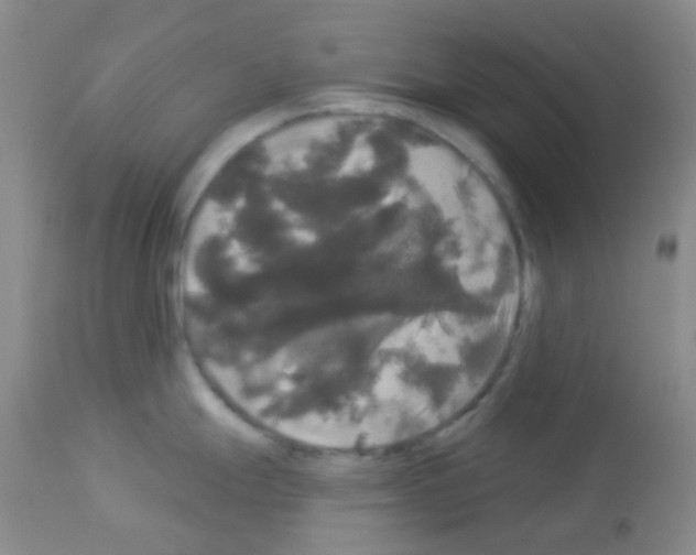 X0000113081247200910091224