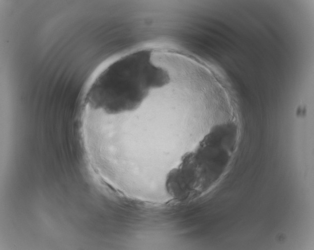 X0000113081248200910091224
