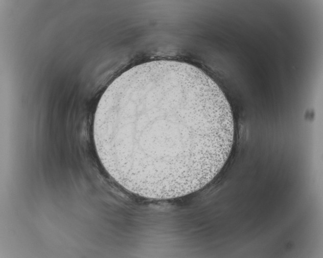 X0000113081250200910091223