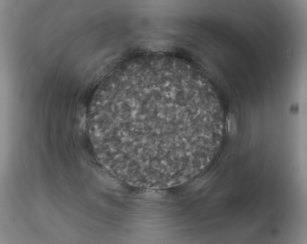 X0000113081251200910091223
